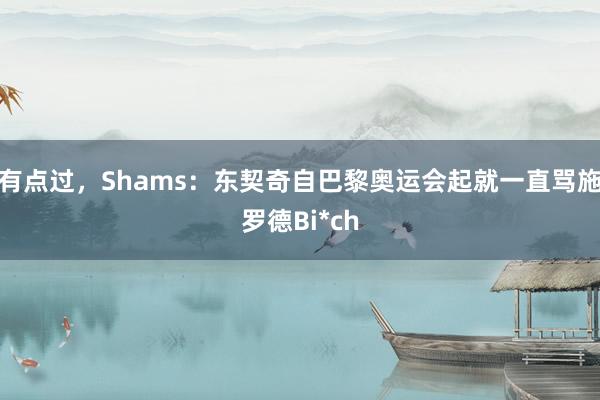 有点过，Shams：东契奇自巴黎奥运会起就一直骂施罗德Bi*ch