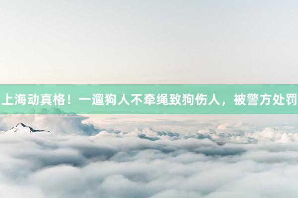 上海动真格！一遛狗人不牵绳致狗伤人，被警方处罚