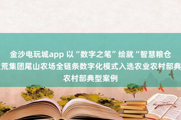 金沙电玩城app 以“数字之笔”绘就“智慧粮仓” 北大荒集团尾山农场全链条数字化模式入选农业农村部典型案例