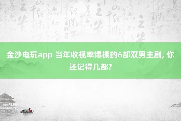 金沙电玩app 当年收视率爆棚的6部双男主剧, 你还记得几部?
