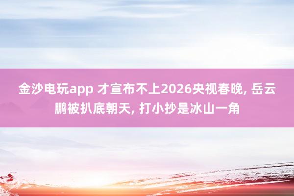 金沙电玩app 才宣布不上2026央视春晚, 岳云鹏被扒底朝天, 打小抄是冰山一角
