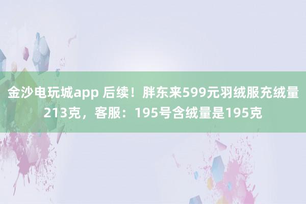 金沙电玩城app 后续!胖东来599元羽绒服充绒量213克,客服:195号含绒量是195克
