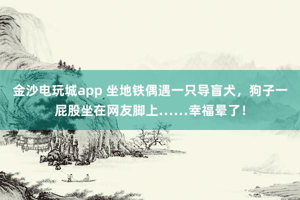 金沙电玩城app 坐地铁偶遇一只导盲犬，狗子一屁股坐在网友脚上……幸福晕了！
