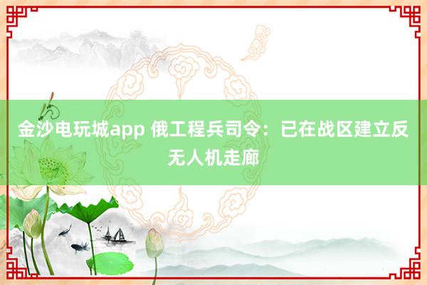 金沙电玩城app 俄工程兵司令：已在战区建立反无人机走廊