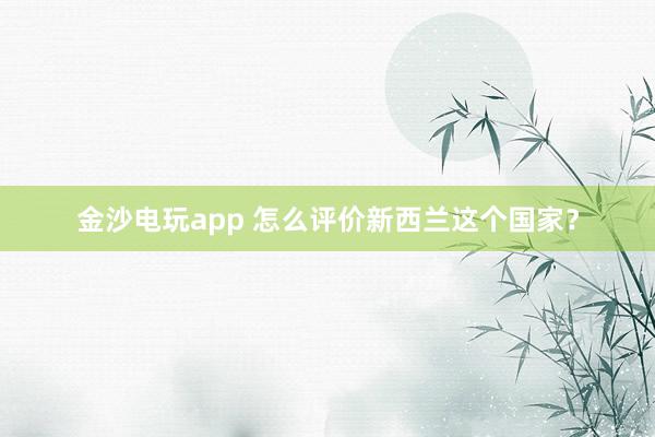 金沙电玩app 怎么评价新西兰这个国家?