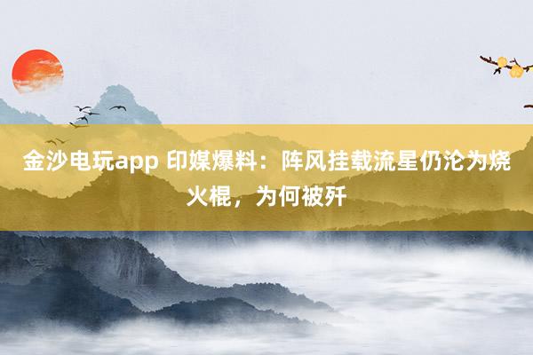 金沙电玩app 印媒爆料：阵风挂载流星仍沦为烧火棍，为何被歼