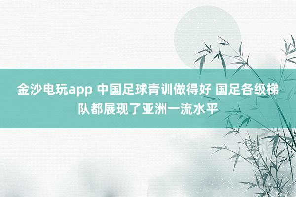 金沙电玩app 中国足球青训做得好 国足各级梯队都展现了亚洲一流水平