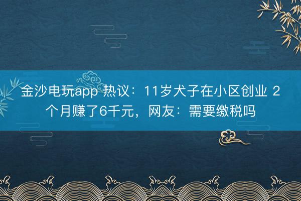 金沙电玩app 热议：11岁犬子在小区创业 2个月赚了6千元，网友：需要缴税吗