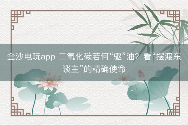 金沙电玩app 二氧化碳若何“驱”油？看“摆渡东谈主”的精确使命