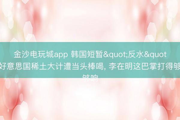金沙电玩城app 韩国短暂"反水"! 好意思国稀土大计遭当头棒喝, 李在明这巴掌打得够响
