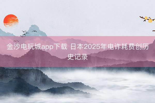金沙电玩城app下载 日本2025年电诈耗费创历史记录