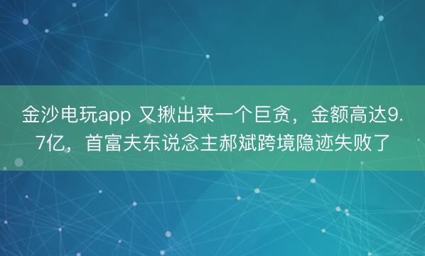 金沙电玩app 又揪出来一个巨贪，金额高达9.7亿，首富夫东说念主郝斌跨境隐迹失败了