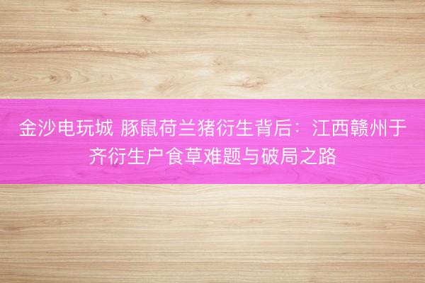 金沙电玩城 豚鼠荷兰猪衍生背后：江西赣州于齐衍生户食草难题与破局之路